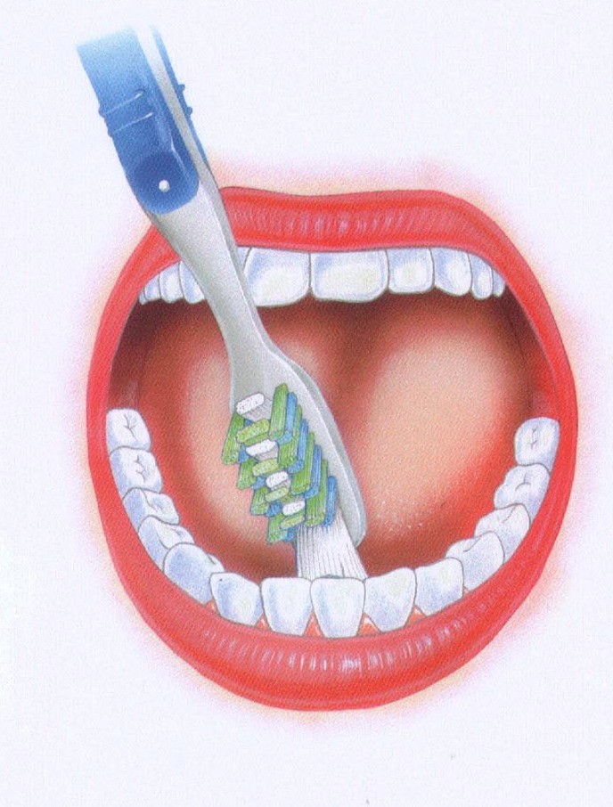 Чистка зубов в нижнем